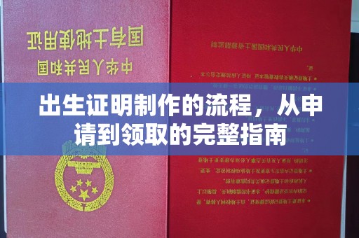 新平出生证明制作的流程，从申请到领取的完整指南