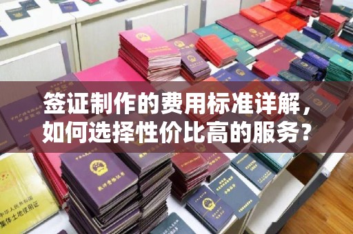 新平签证制作的费用标准详解，如何选择性价比高的服务？