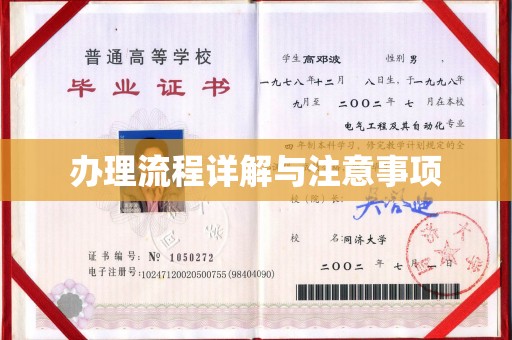 新平办理流程详解与注意事项
